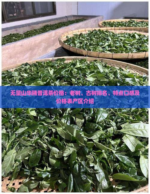 无量山华腾普洱茶价格：老树、古树排名、特点口感及价格表产区介绍