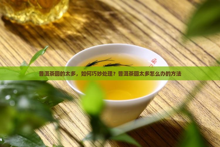 普洱茶圆的太多，如何巧妙处理？普洱茶圆太多怎么办的方法