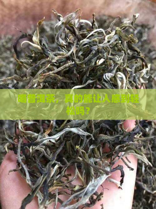 喝普洱茶，真的能让人感到轻松吗？
