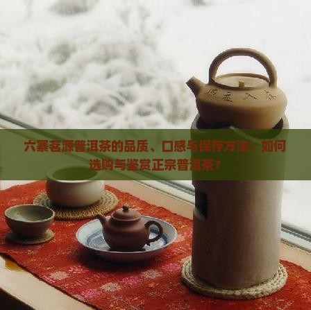 六寨茗源普洱茶的品质、口感与保存方法：如何选购与鉴赏正宗普洱茶？