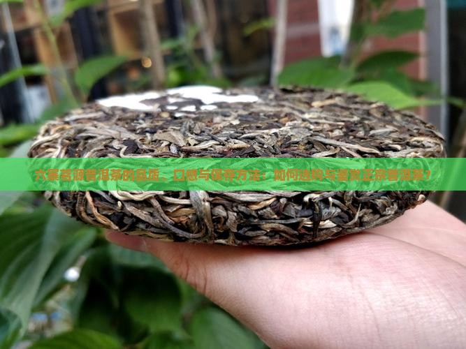 六寨茗源普洱茶的品质、口感与保存方法：如何选购与鉴赏正宗普洱茶？