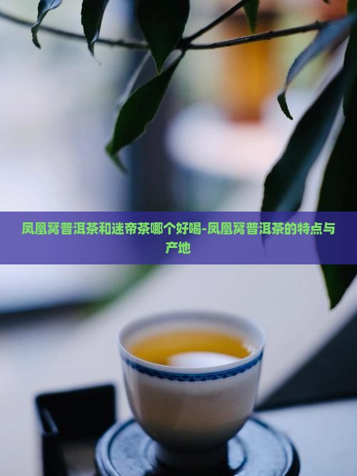 凤凰窝普洱茶和迷帝茶哪个好喝-凤凰窝普洱茶的特点与产地