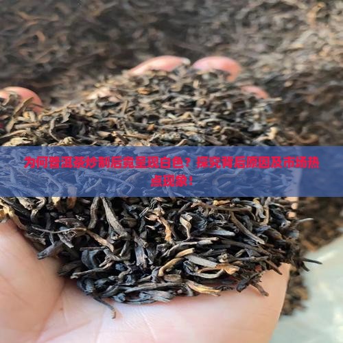 为何普洱茶炒制后竟呈现白色？探究背后原因及市场热点现象！