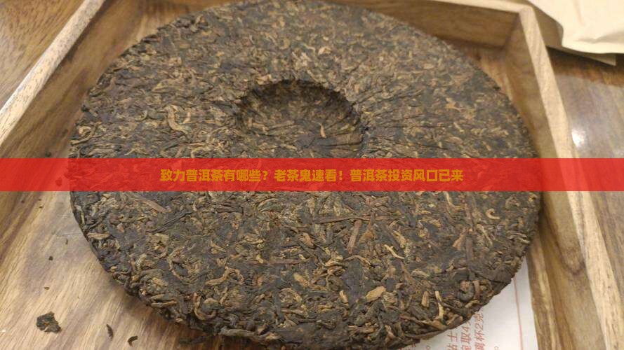 致力普洱茶有哪些？老茶鬼速看！普洱茶投资风口已来