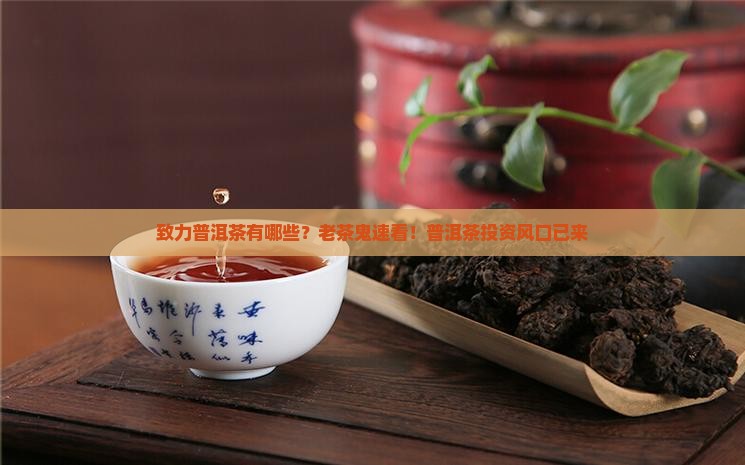 致力普洱茶有哪些？老茶鬼速看！普洱茶投资风口已来
