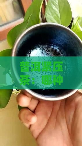 普洱紧压茶：哪种经典造型它竟然没有？