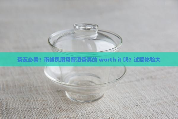 茶友必看！南峤凤凰窝普洱茶真的 worth it 吗？试喝体验大