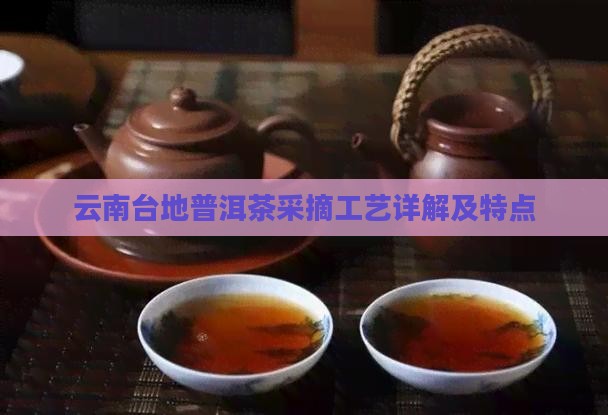 云南台地普洱茶采摘工艺详解及特点