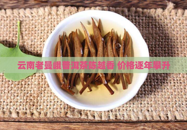 云南老曼峨普洱茶陈越香 价格逐年攀升