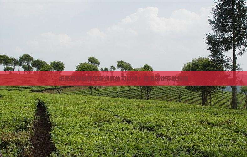 纸壳箱存放普洱茶饼真的可以吗？普洱茶饼存放指南