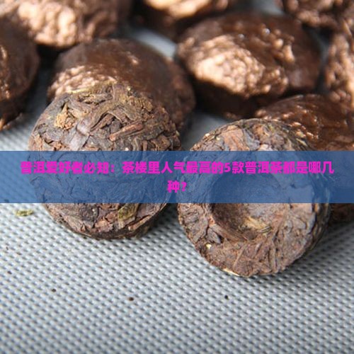 普洱爱好者必知：茶楼里人气最高的5款普洱茶都是哪几种？