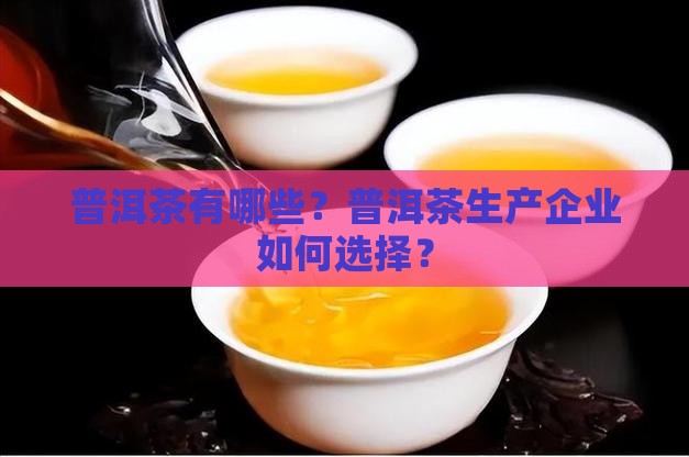 普洱茶有哪些？普洱茶生产企业如何选择？