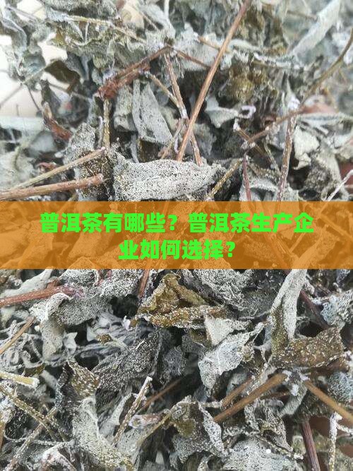 普洱茶有哪些？普洱茶生产企业如何选择？