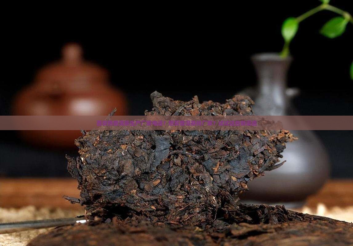 西安熟普洱茶生产厂家电话？想买普洱茶找厂家？试试这些新渠道
