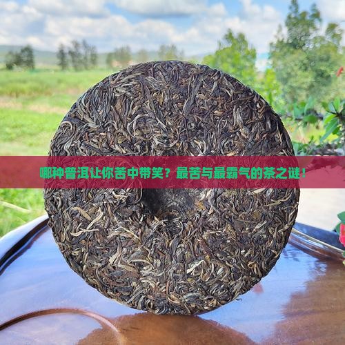 哪种普洱让你苦中带笑？最苦与最霸气的茶之谜！