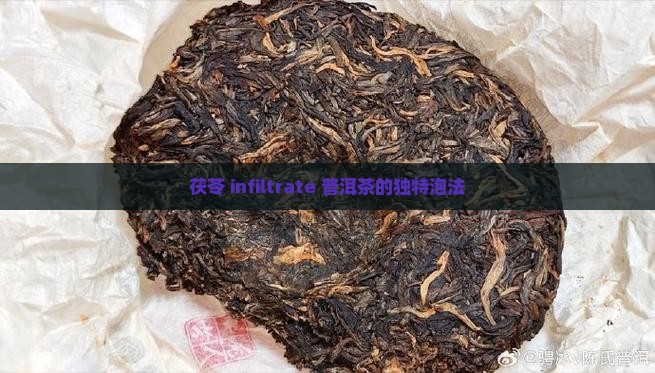 茯苓 infiltrate 普洱茶的独特泡法