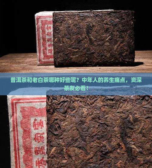 普洱茶和老白茶哪种好些呢？中年人的养生痛点，资深茶友必看！