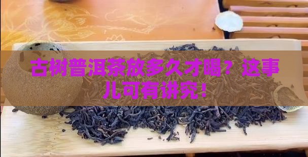 古树普洱茶放多久才喝？这事儿可有讲究！