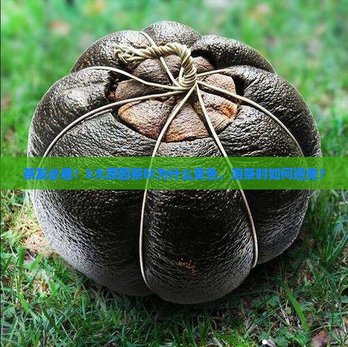 茶友必看！5大原因茶叶为什么变色，泡茶时如何避免？