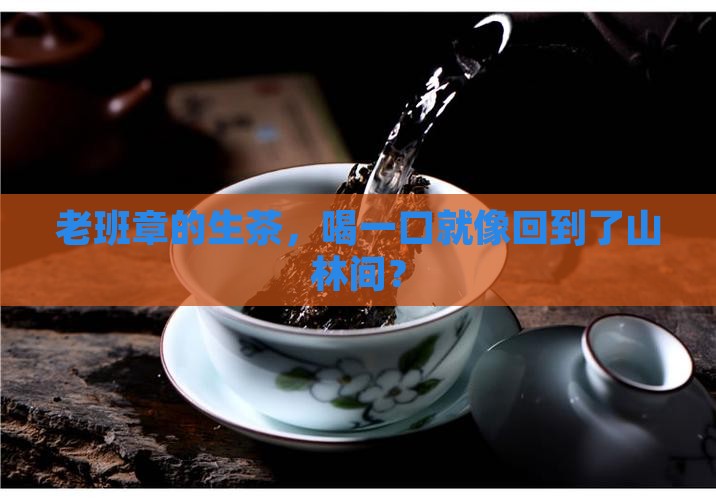 老班章的生茶，喝一口就像回到了山林间？