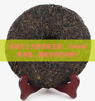 探秘天士力普洱茶王国：1600亩茶海里，藏着怎样的茶香？