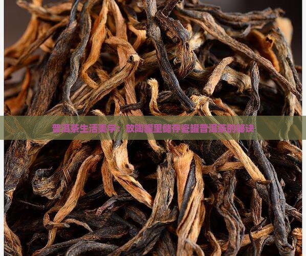 普洱茶生活美学：放陶罐里储存瓷罐普洱茶的秘诀