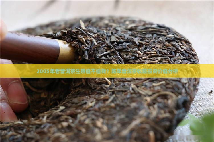 2005年老普洱茶生茶值不值钱？陈年普洱茶收藏投资价值分析