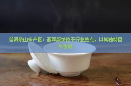 普洱茶山头产区：西双版纳位于行业焦点，以其独特香气引领