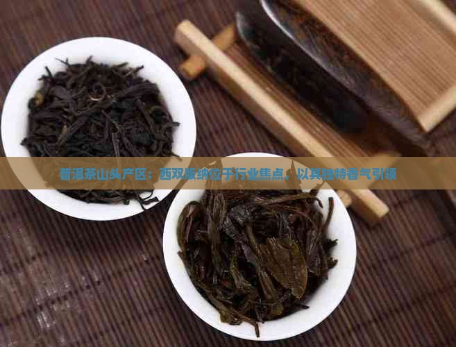 普洱茶山头产区：西双版纳位于行业焦点，以其独特香气引领