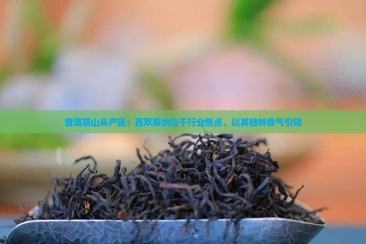 普洱茶山头产区：西双版纳位于行业焦点，以其独特香气引领