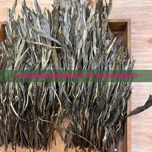 #1老同志普洱茶真的越陈越香吗？喝了多年的我有点困惑了