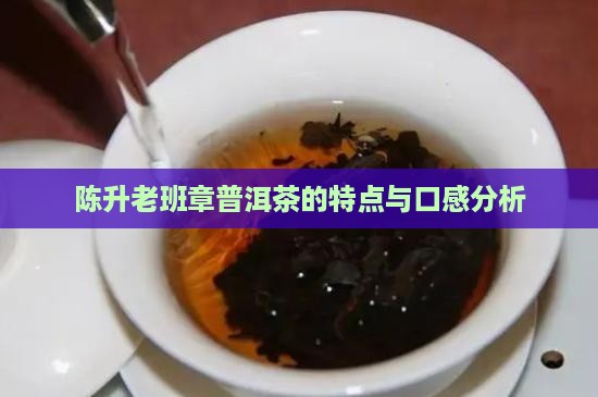 陈升老班章普洱茶的特点与口感分析