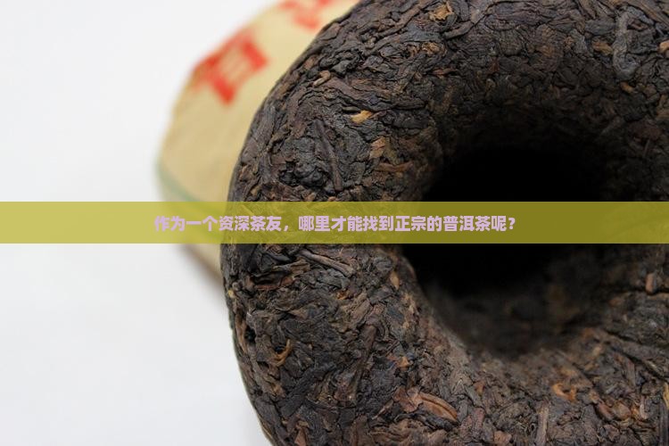 作为一个资深茶友，哪里才能找到正宗的普洱茶呢？