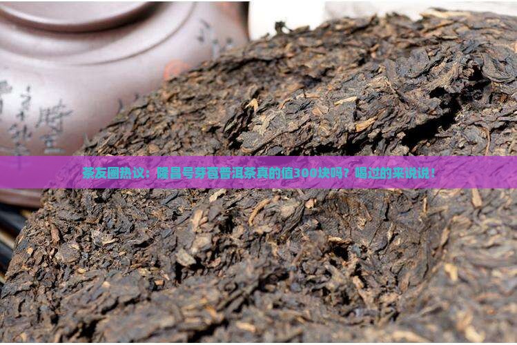 茶友圈热议：隆昌号芽苞普洱茶真的值300块吗？喝过的来说说！