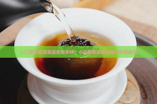 入门级生普洱茶适合新手吗？小白买茶避坑指南与热词解读