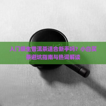 入门级生普洱茶适合新手吗？小白买茶避坑指南与热词解读