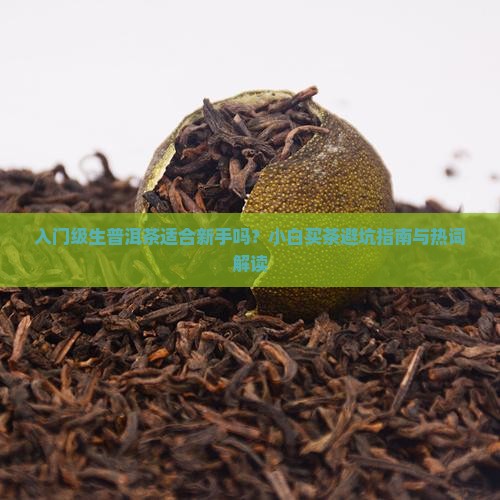 入门级生普洱茶适合新手吗？小白买茶避坑指南与热词解读