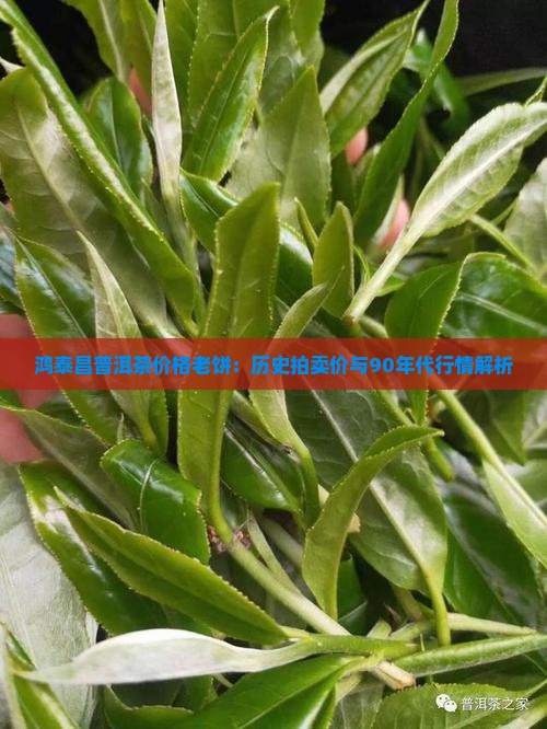 鸿泰昌普洱茶价格老饼：历史拍卖价与90年代行情解析