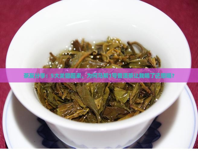 茶友分享：5大关键因素，为何马帮1号普洱茶让我喝了还想喝？
