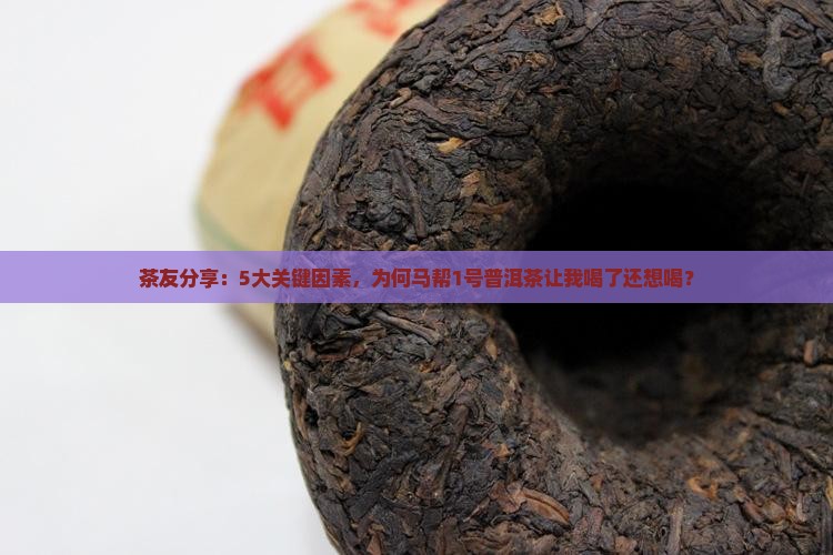 茶友分享：5大关键因素，为何马帮1号普洱茶让我喝了还想喝？