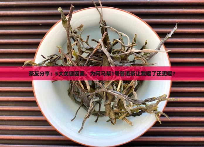 茶友分享：5大关键因素，为何马帮1号普洱茶让我喝了还想喝？