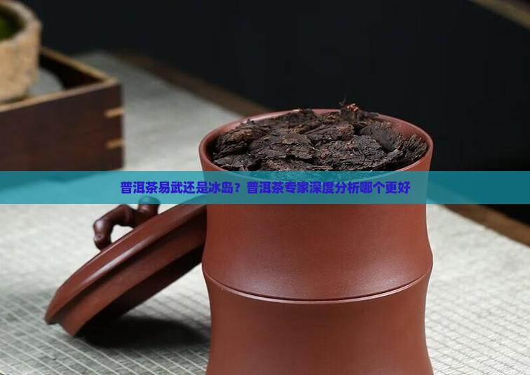 普洱茶易武还是冰岛？普洱茶专家深度分析哪个更好