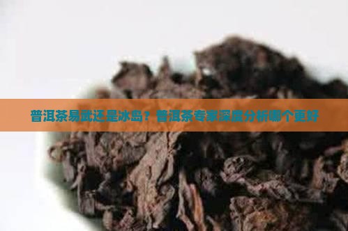 普洱茶易武还是冰岛？普洱茶专家深度分析哪个更好