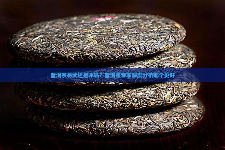 普洱茶易武还是冰岛？普洱茶专家深度分析哪个更好