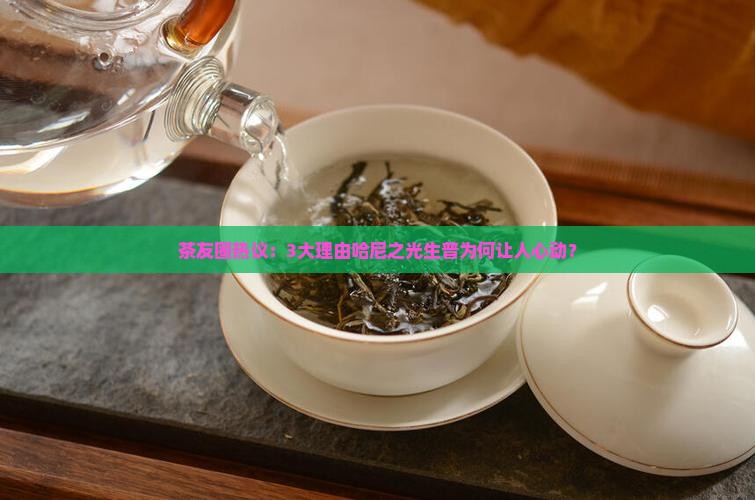 茶友圈热议：3大理由哈尼之光生普为何让人心动？