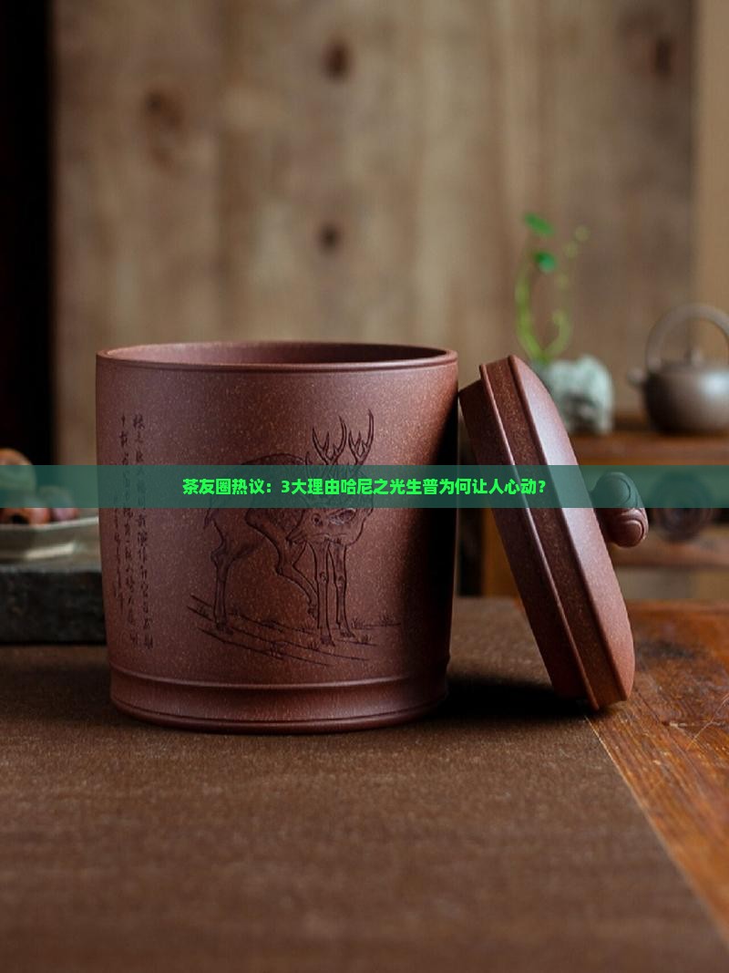 茶友圈热议：3大理由哈尼之光生普为何让人心动？