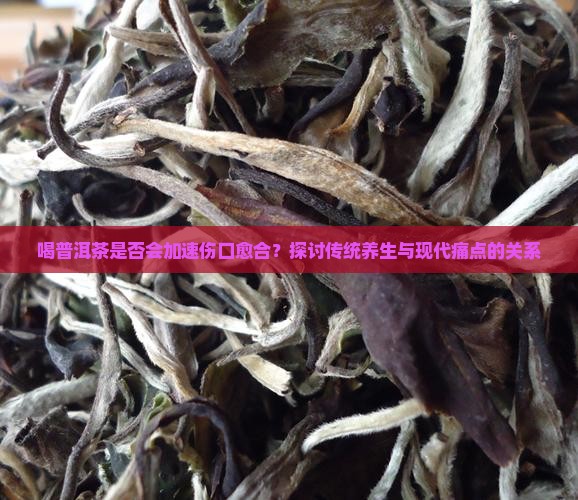 喝普洱茶是否会加速伤口愈合？探讨传统养生与现代痛点的关系