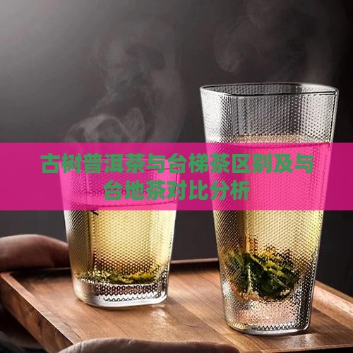 古树普洱茶与台梯茶区别及与台地茶对比分析