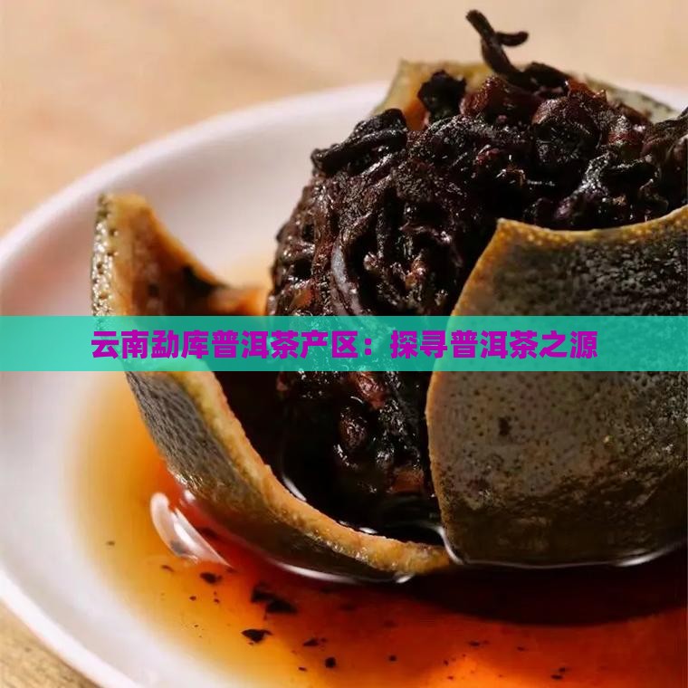 云南勐库普洱茶产区：探寻普洱茶之源
