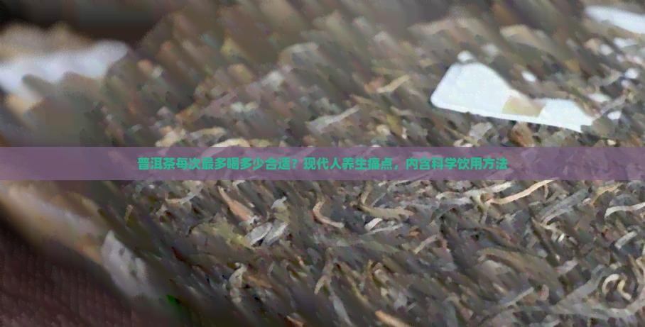 普洱茶每次最多喝多少合适？现代人养生痛点，内含科学饮用方法